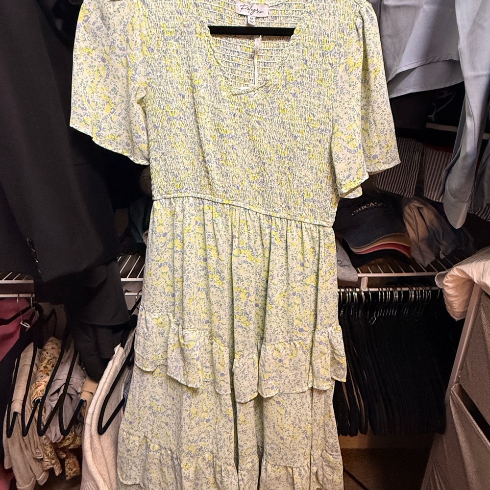 Polagram Women's Light Green Floral Midi Dress